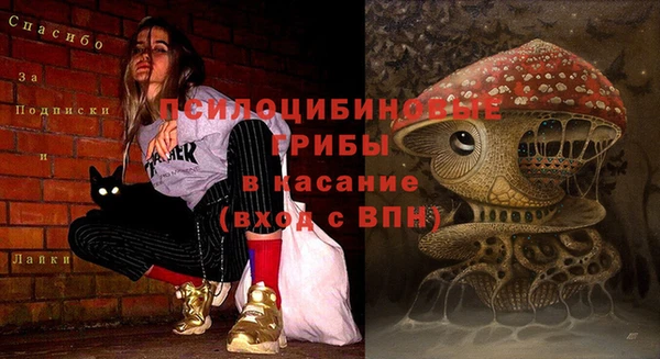 кокс Алексеевка