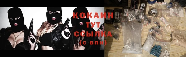 МДПВ Семилуки