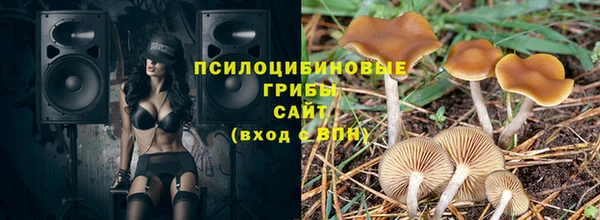 сатива Семикаракорск