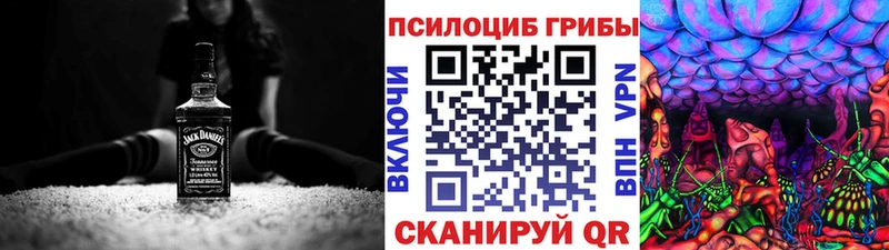 цены наркотик  Кашин  Галлюциногенные грибы Psilocybe 
