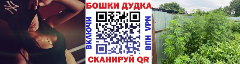 Бошки марихуана семена  хочу   Кашин 